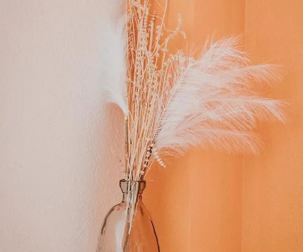 Apartmán Lisboa F3 Centre-ville Clermont-fd C Clermont-Ferrand